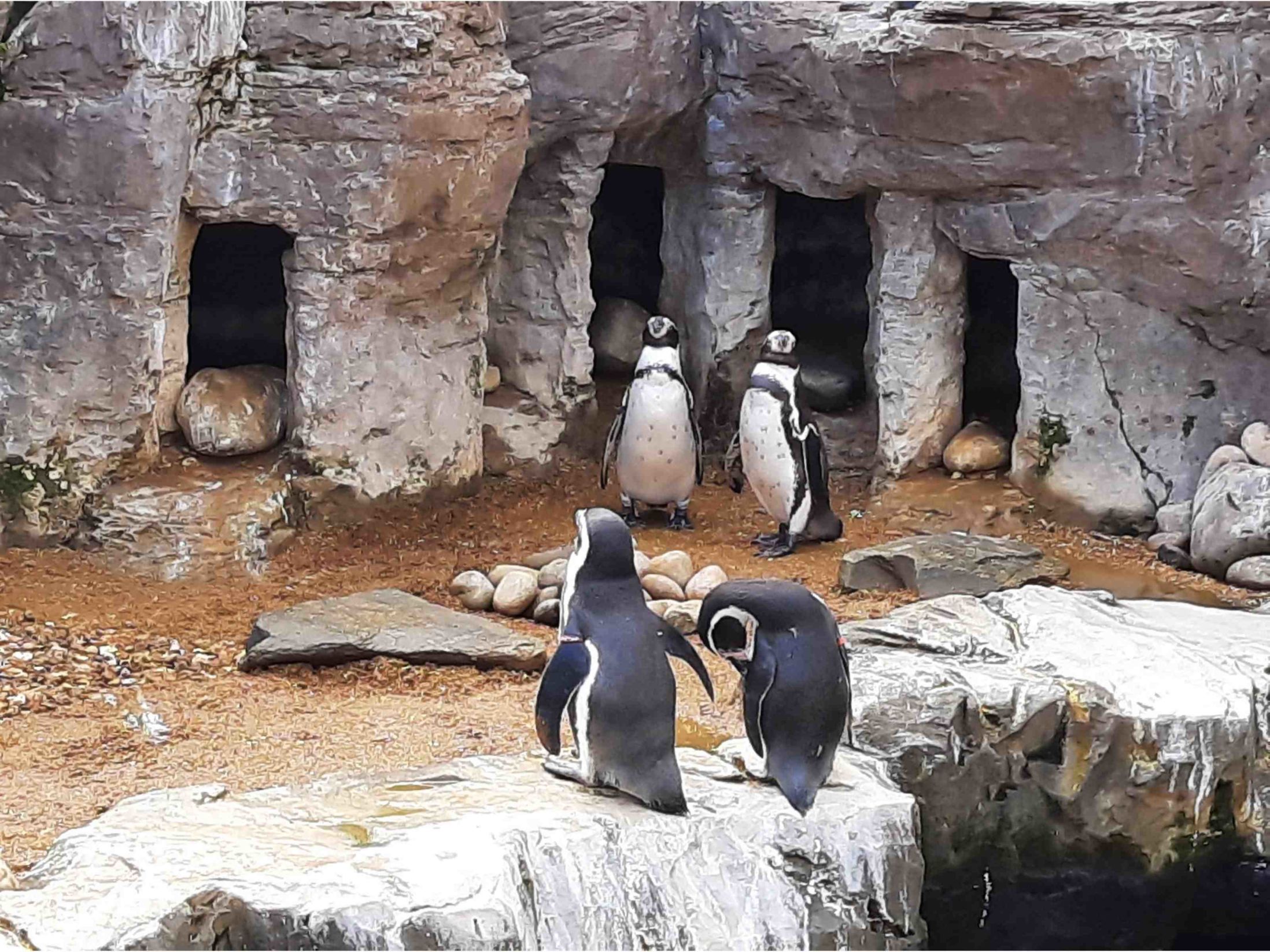 12 Hen Party Activities in Bournemouth - Oceanarium